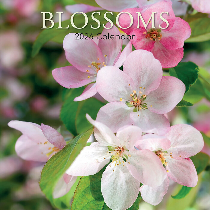 Calendrier Mural 2026 Arbres en Fleurs Printemps Cerisiers