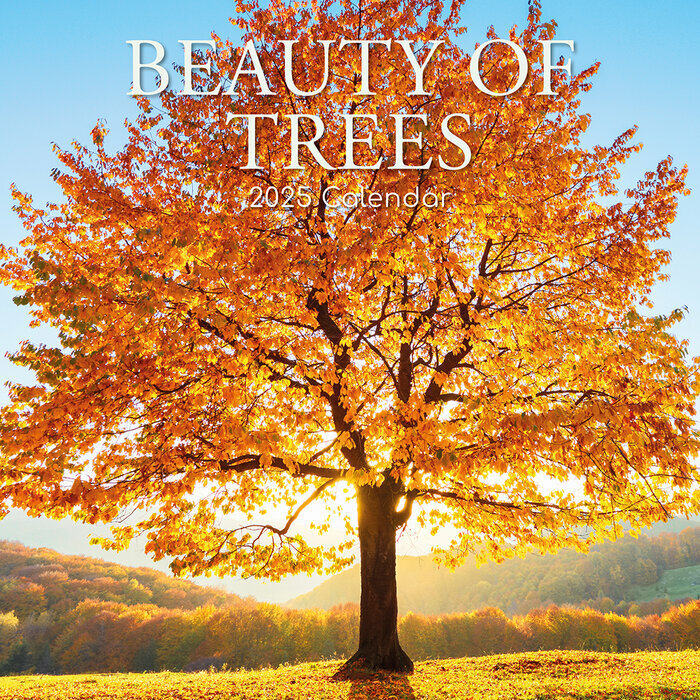 Calendrier Mural 2025 Beauté des Arbres Majestueux