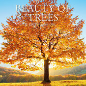 Calendrier Mural 2025 Beauté des Arbres Majestueux
