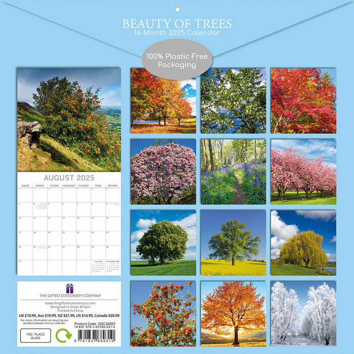 Calendrier Papier 2025 Beauté des Arbres Majestueux