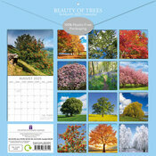 Calendrier Papier 2025 Beauté des Arbres Majestueux