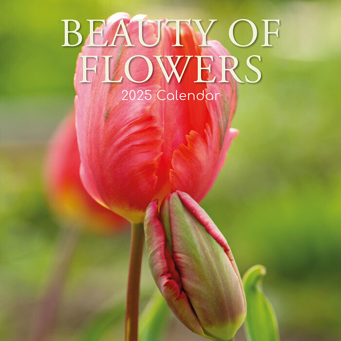 Calendrier Mural 2025 Beaut des Fleurs Tulipes Roses