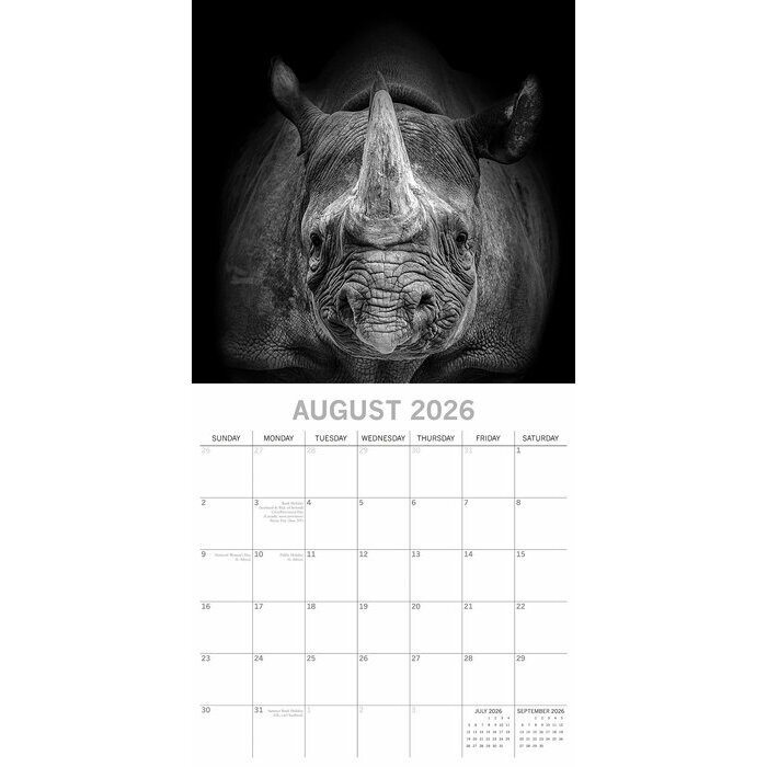 Calendrier Mural 2026 Portraits Animaux Sauvages