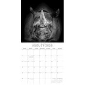 Calendrier Mural 2026 Portraits Animaux Sauvages