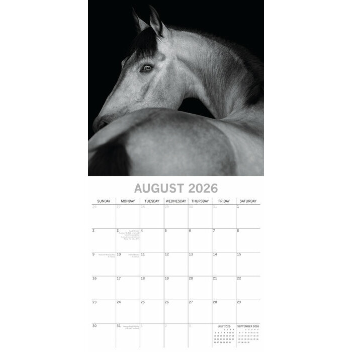 Calendrier Mural 2026  Chevaux 