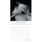 Calendrier Mural 2026  Chevaux 