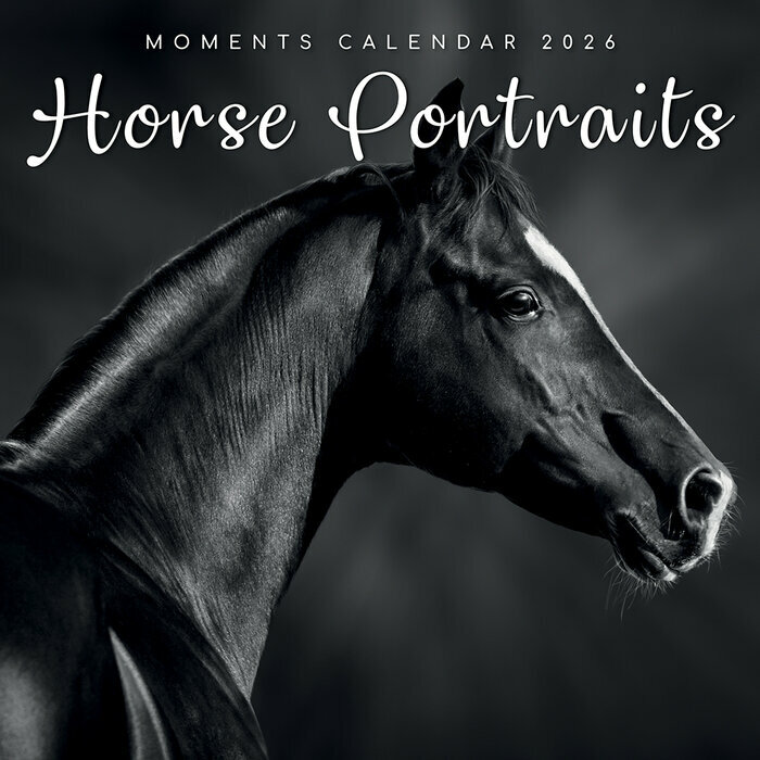 Calendrier Mural 2026 Portraits Chevaux Noir et Blanc