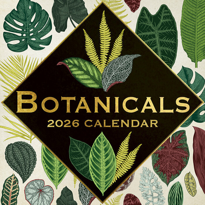 Calendrier Mural 2026 Dessins Botanique Fleurs