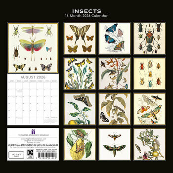 Calendrier 2026 Dessin Insectes Collections