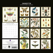 Calendrier 2026 Dessin Insectes Collections