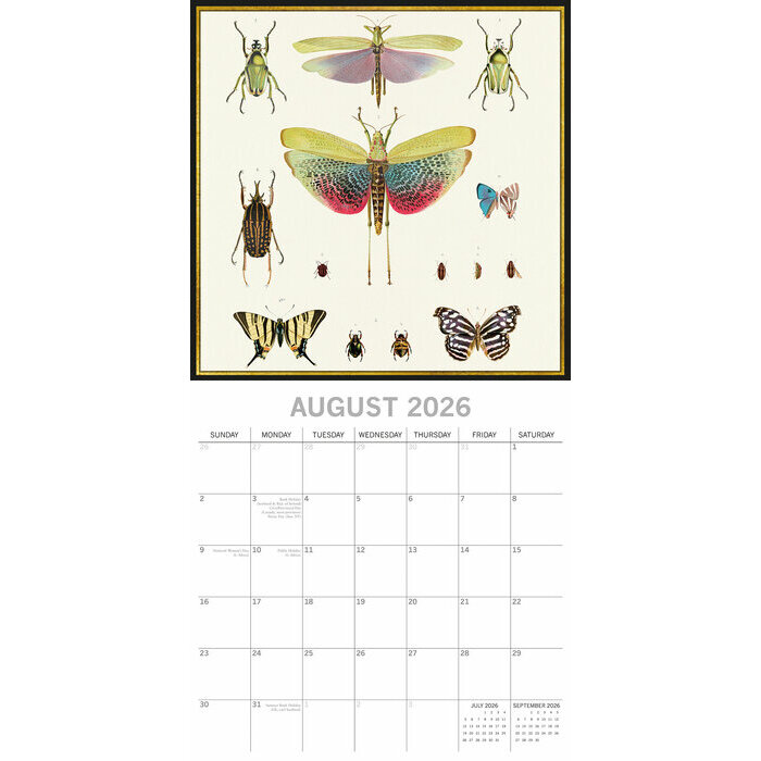 Calendrier Mural 2026 Dessin Insectes 