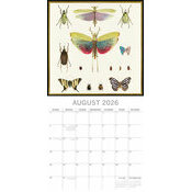 Calendrier Mural 2026 Dessin Insectes 