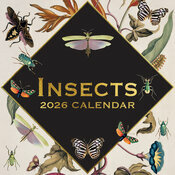 Calendrier Mural 2026 Dessin Insectes Collections
