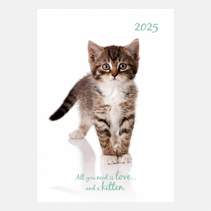  Agenda Papier Chaton Mignon 2025