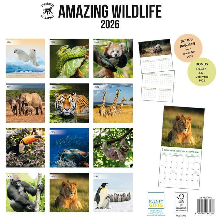 Calendrier Papier 2025 Animaux Etonnants WWF