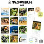 Calendrier Papier 2025 Animaux Etonnants WWF