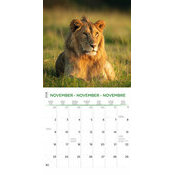 Calendrier 2025 Animaux Etonnants WWF