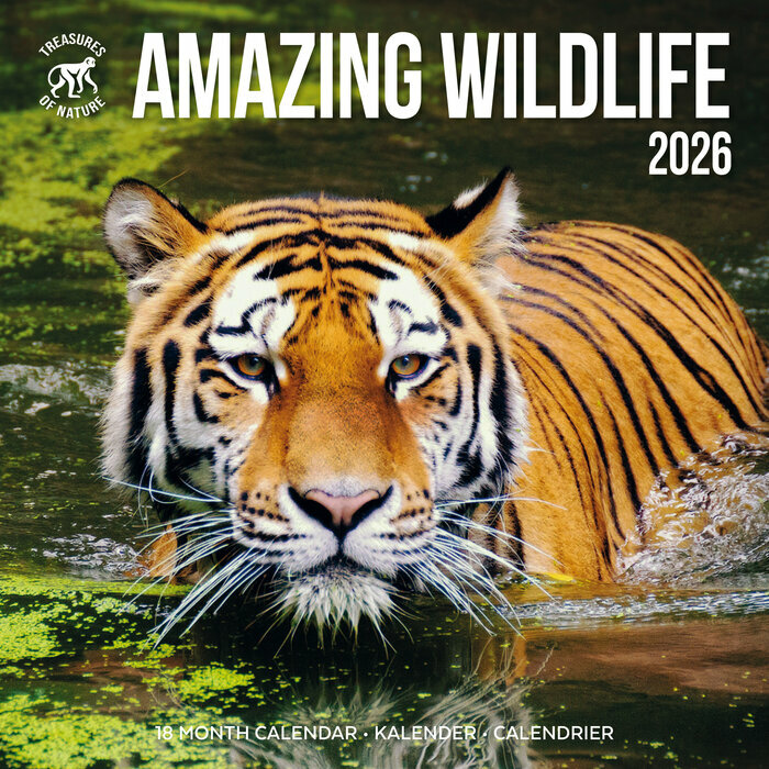 Calendrier Mural 2025 Animaux Etonnants WWF