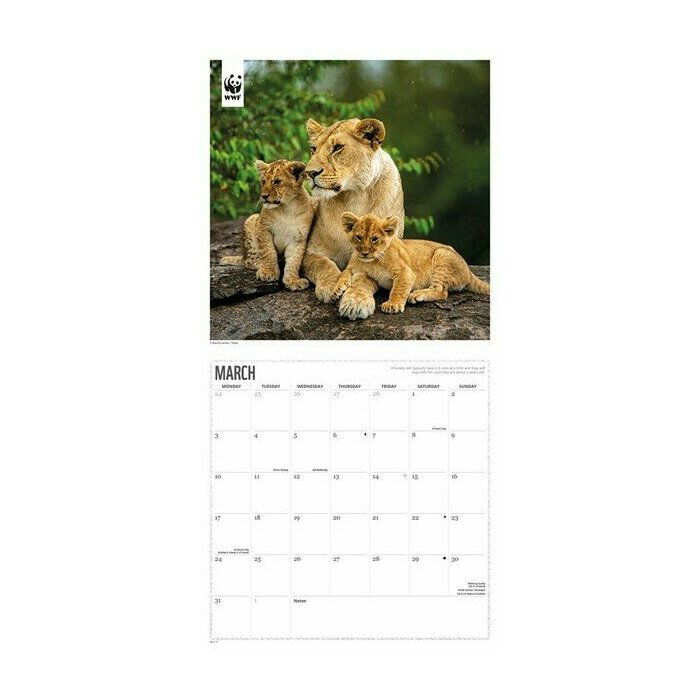 Calendrier 2025 Grands Flins WWF