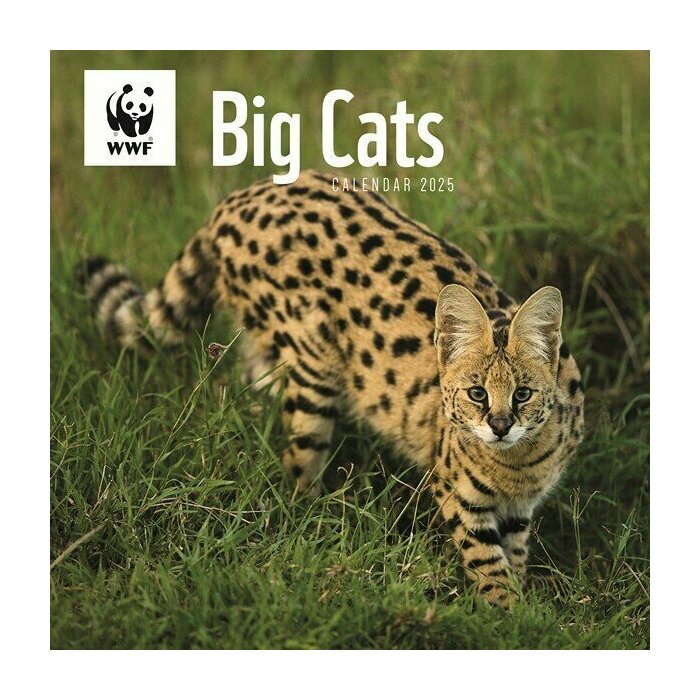 Calendrier Mural 2025 Grands Flins WWF