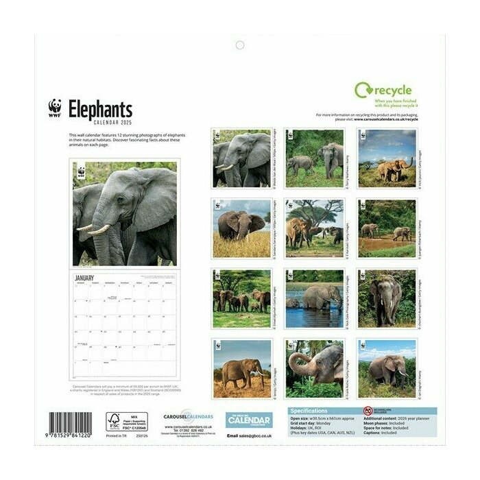 Calendrier Papier 2025 Elphants WWF