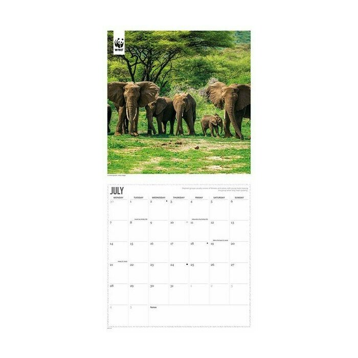Calendrier 2025 Elphants WWF