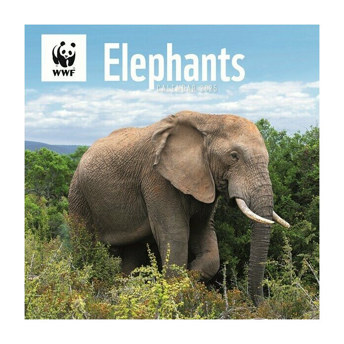 Calendrier mural 2025 Elphants WWF