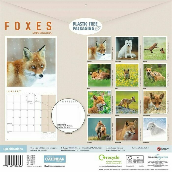 Calendrier papier 2025 Renards Renardeaux