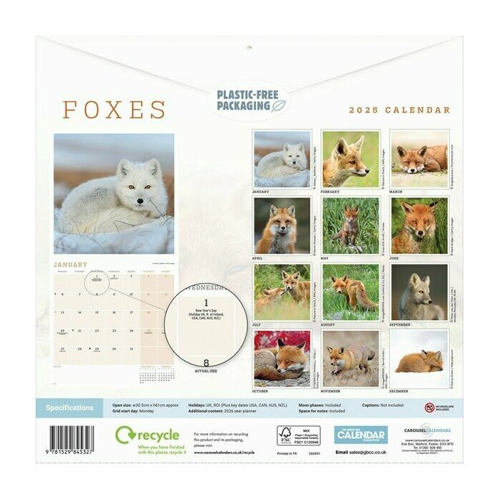 Calendrier papier 2025 Renards Renardeaux