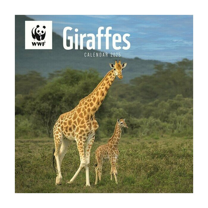 Calendrier Mural 2025 Girafe Safari WWF