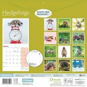 Calendrier Mural 2025 Hrissons Jardins