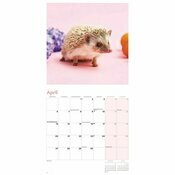 Calendrier 2025 Hrissons Jardins