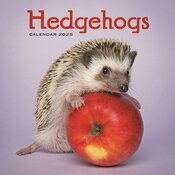 Calendrier Papier 2025 Hérissons Jardins