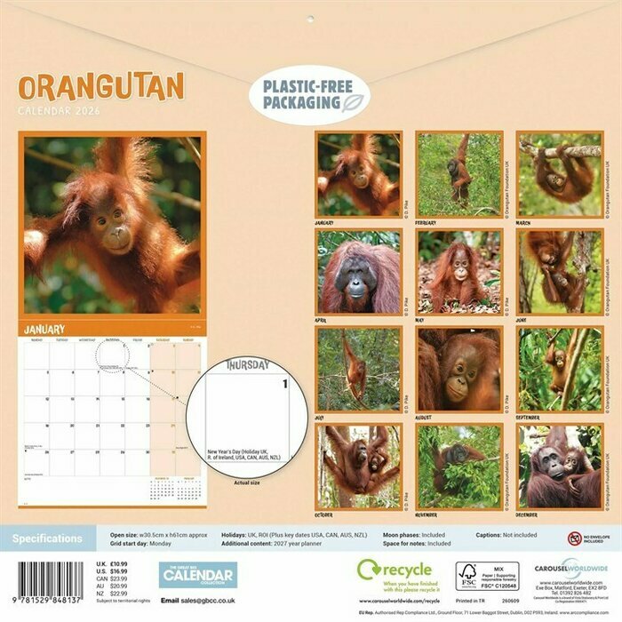 Calendrier Mural 2025 Orang-Outan Primates