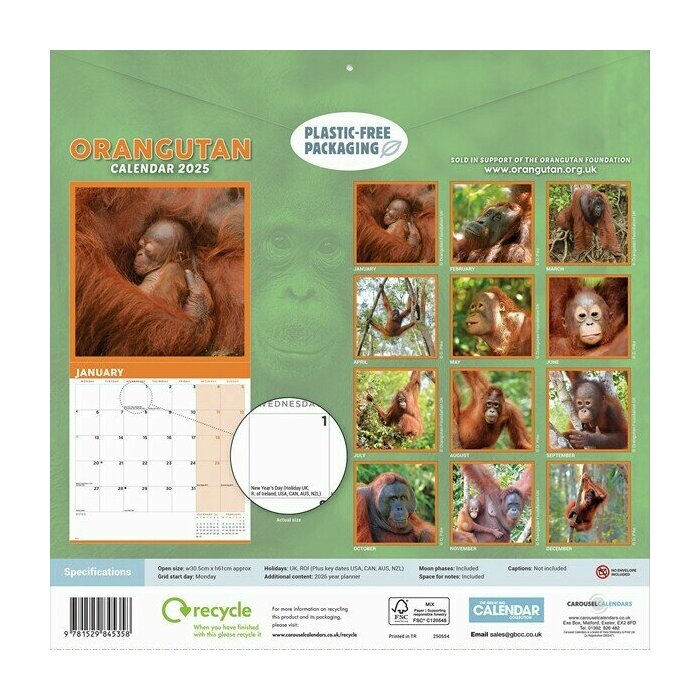 Calendrier Mural 2025 Orang-Outan Primates