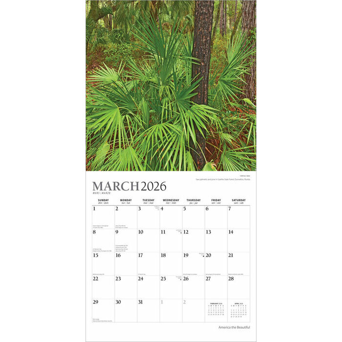 Calendrier papier 2026 Paysages Amrique Etats-Unis