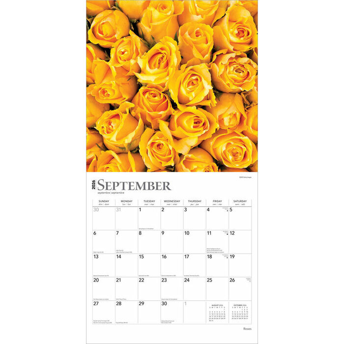 Calendrier 2025 Dlicates Fleurs de Roses