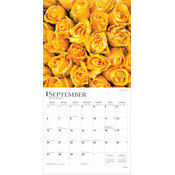 Calendrier 2025 Dlicates Fleurs de Roses
