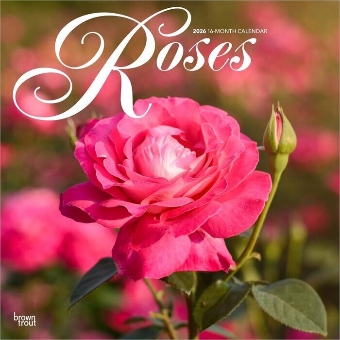 Calendrier Mural 2025 Dlicates Fleurs de Roses