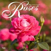 Calendrier Mural 2025 Dlicates Fleurs de Roses