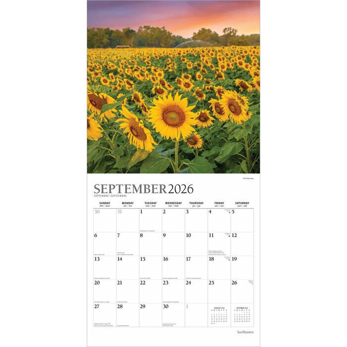Calendrier 2025 Fleurs de Tournesols