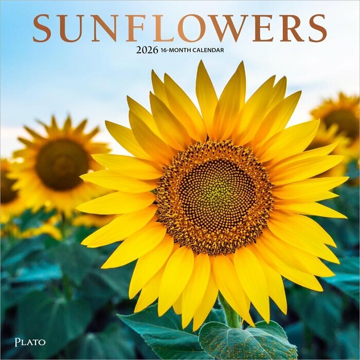 Calendrier Mural 2025 Fleurs de Tournesols