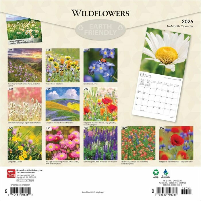 Calendrier Papier 2025 Fleurs des Champs Sauvages