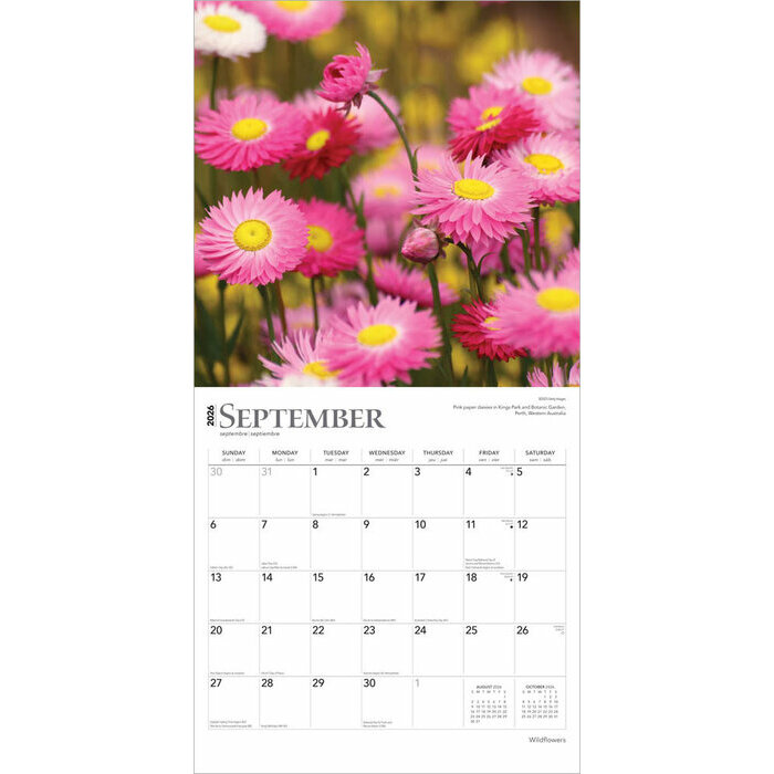 Calendrier 2025 Fleurs des Champs Sauvages
