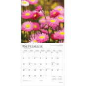 Calendrier 2025 Fleurs des Champs Sauvages