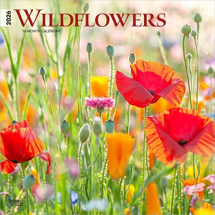 Calendrier Mural 2025 Fleurs des Champs Sauvages