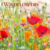 Calendrier Mural 2025 Fleurs des Champs Sauvages