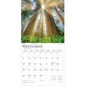 Calendrier 2025 Inspiration et Pensées Créatives