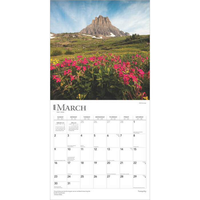 Calendrier 2025 Tranquillit et Znitude