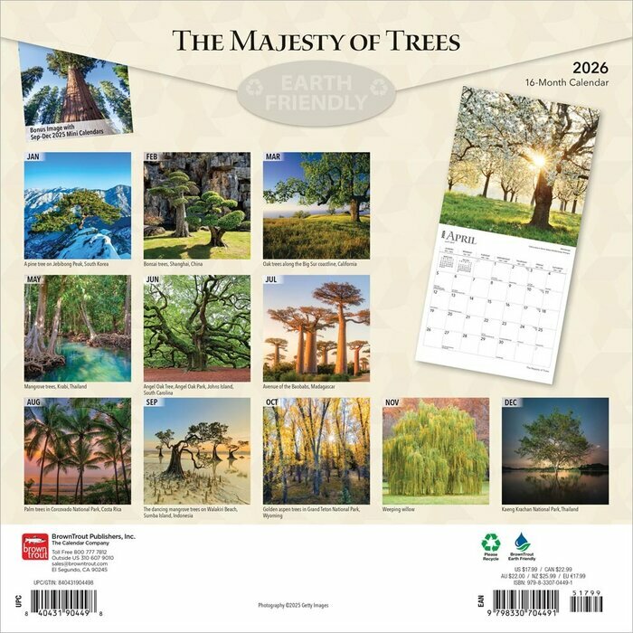 Calendrier Papier 2025 Arbres Gants et Majestueux